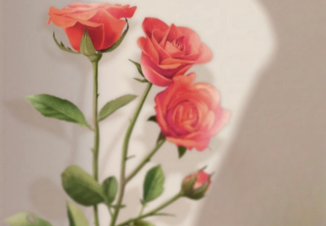 祝天下女神們節(jié)日快樂(lè)！??！